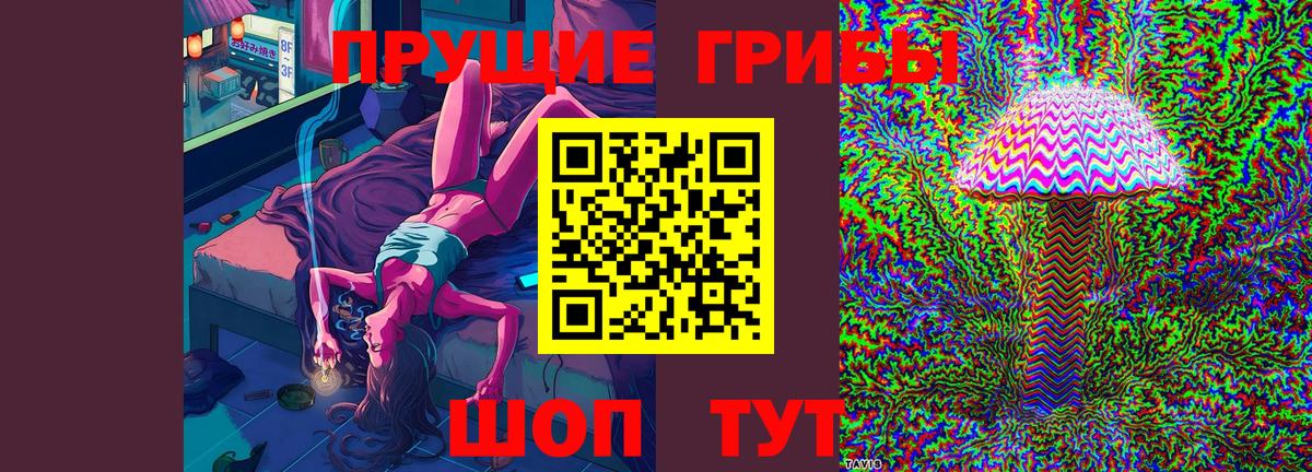 Псилоцибиновые грибы Psilocybe  Псилоцибиновые грибы MAGIC MUSHROOMS  Вход с VPN  где продают наркотики  Фрязино 